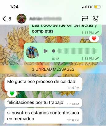 Captura de WhatsApp: cliente de mercadeo felicita el proceso de calidad de Graficov