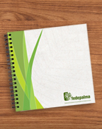 Graficov cuadernos