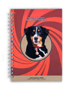 Graficov cuadernos