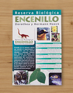 graficov flyers