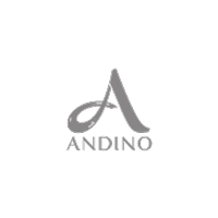 Andino